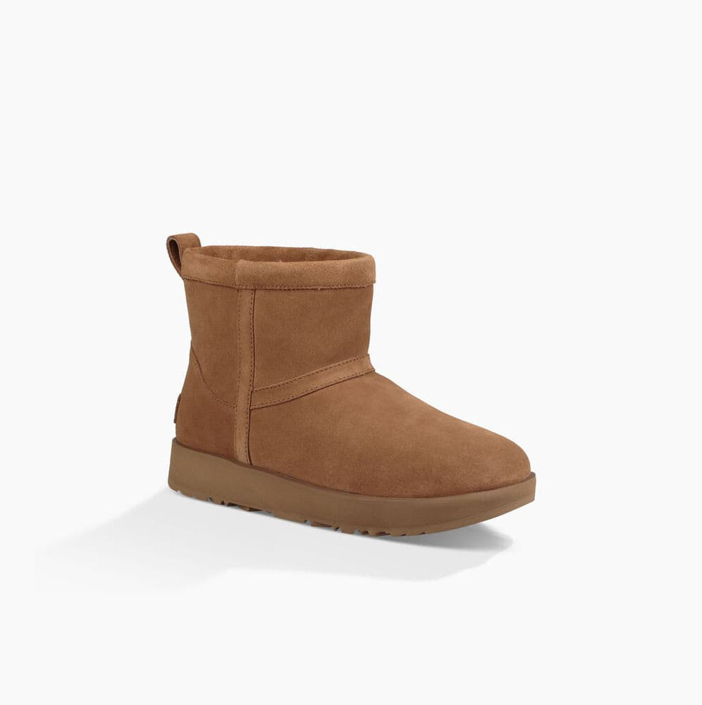 UGG Classic Mini Weather Brown Boots for Women (ADRG72513)